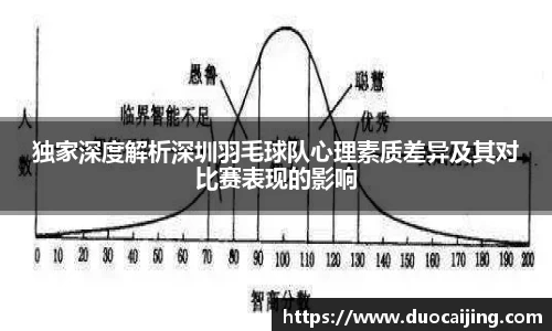 独家深度解析深圳羽毛球队心理素质差异及其对比赛表现的影响